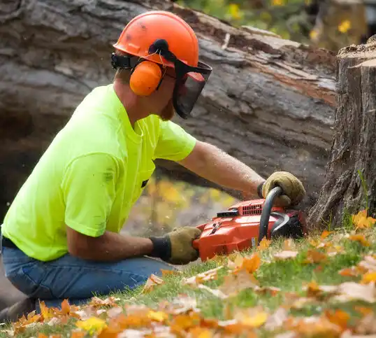 tree services Crocker